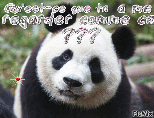 Panda♥ - GIF เคลื่อนไหวฟรี