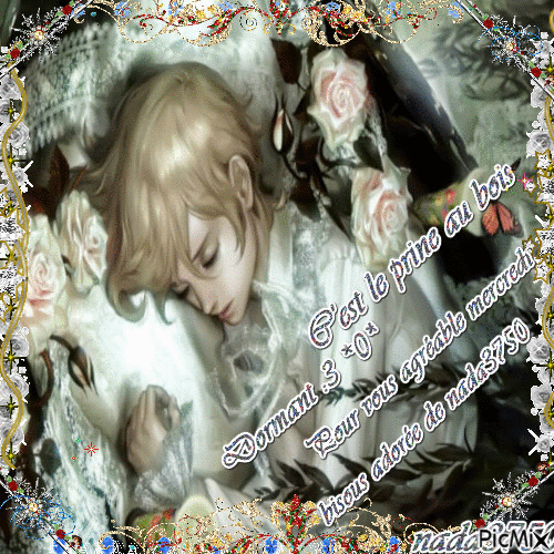 Avez vous jamais  vu le prince au bois dormant ? :3 - 免费动画 GIF