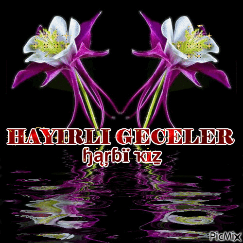 🌙🌟🌙 #HAYIRLI ##GECELER - GIF animé gratuit