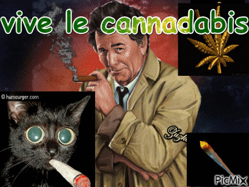 cannadabis - Free animated GIF