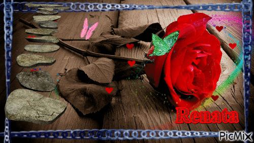 róża - GIF animado gratis