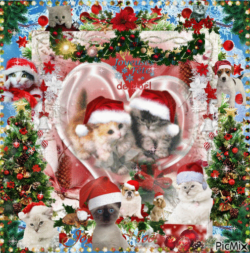 adorable chat de Noël - Ingyenes animált GIF