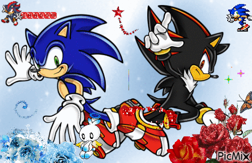 Sonic and shadow - GIF animé gratuit