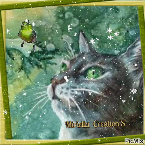 Contest !Peinture chat aux yeux verts - Бесплатный анимированный гифка
