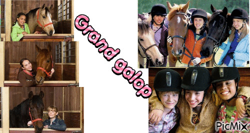grand galop - Free animated GIF