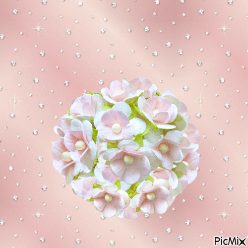 fiori - GIF animé gratuit