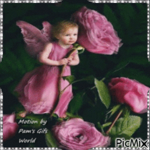 Pink Angel Babe - GIF animasi gratis