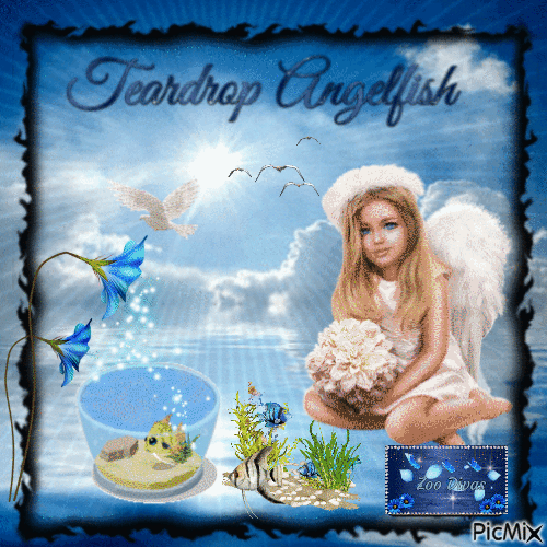 Teardrop Angelfish - Gratis geanimeerde GIF