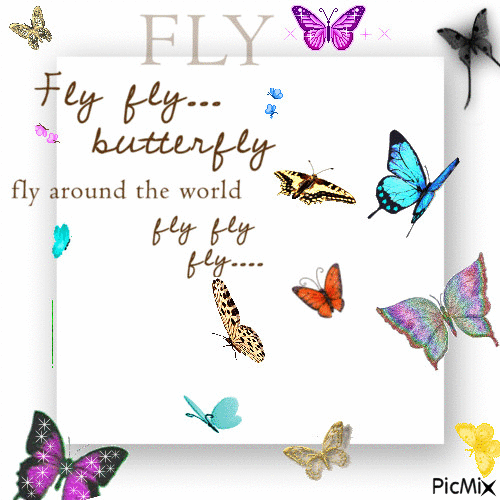 Fly butterfly - GIF animé gratuit