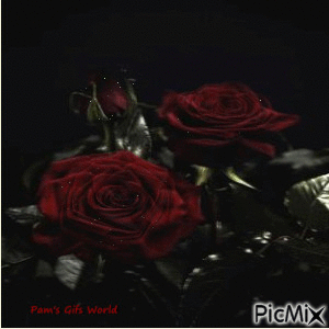 Red Roses - Бесплатный анимированный гифка