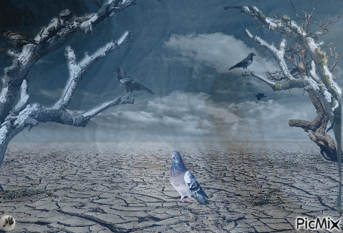 Paloma entre cuervos - Besplatni animirani GIF