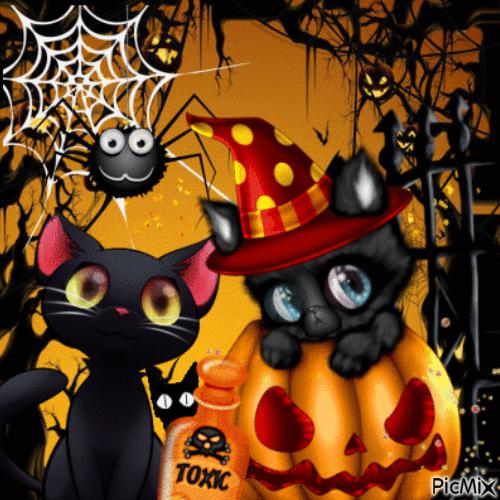 Halloween Kürbiskatzen - GIF animado gratis