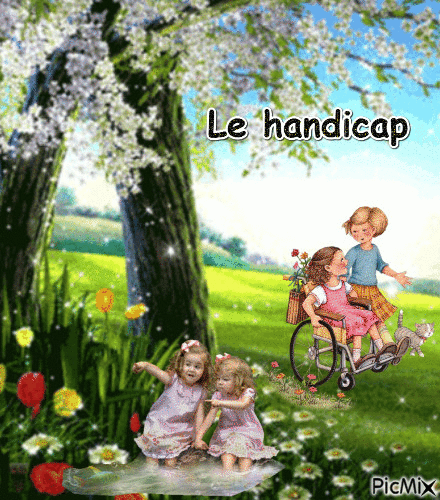 handicap - Free animated GIF