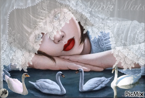 4 cisnes - Безплатен анимиран GIF