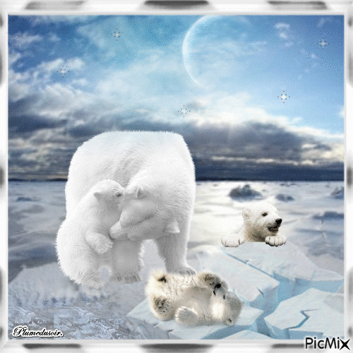 L'ours et ses petits. - Free animated GIF