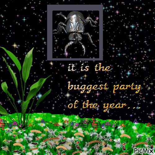 buggest party of the year - Ingyenes animált GIF