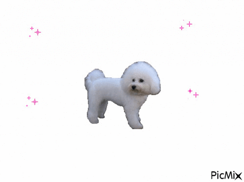 cane - GIF animado grátis