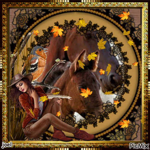 les chevaux d automne - Free animated GIF