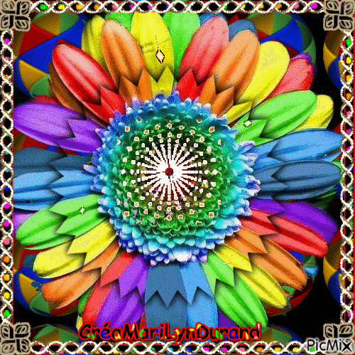 jolie fleur couleur - Бесплатный анимированный гифка