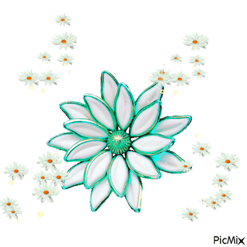 fiori - Zdarma animovaný GIF