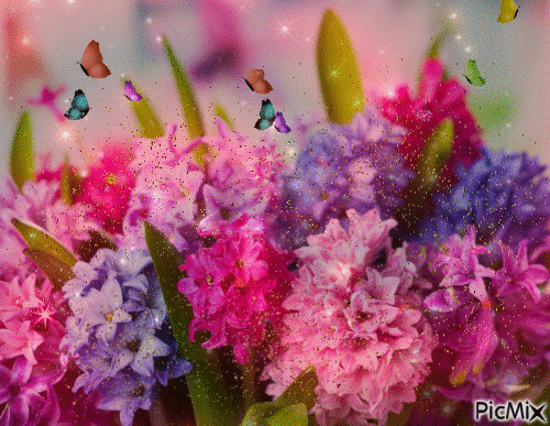 Colorful flowers and butterflies - GIF animado gratis