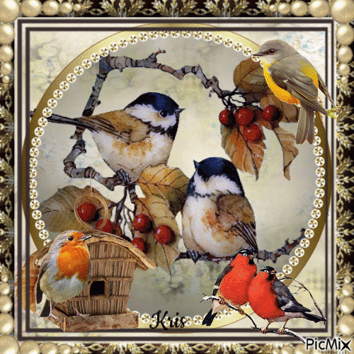 Oiseaux d'automne - GIF animado grátis