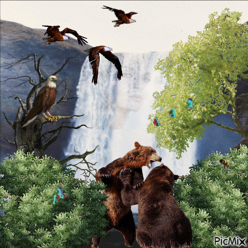 Eagle Waterfall - Darmowy animowany GIF