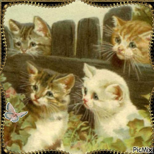 Chats vintage - δωρεάν png