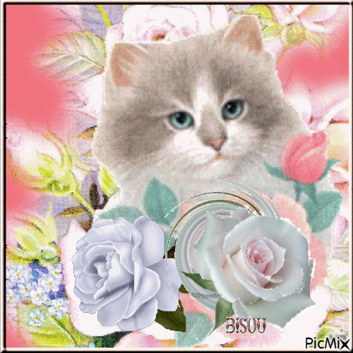 mon chat avec ces roses - Δωρεάν κινούμενο GIF