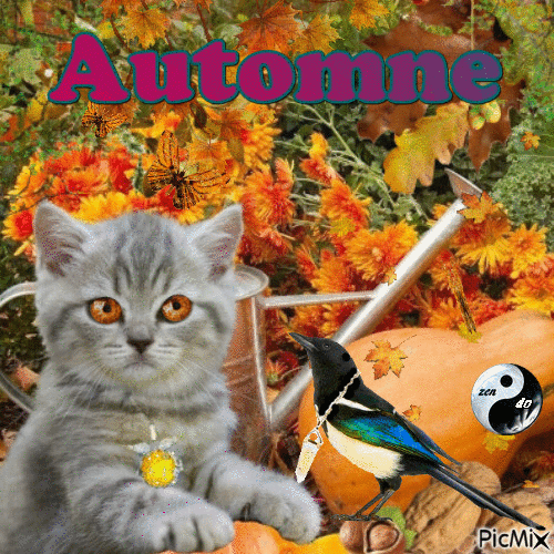 ✦ saison automne - GIF animé gratuit