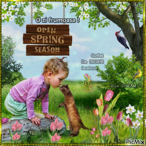 Spring has arrived ! - GIF animé gratuit