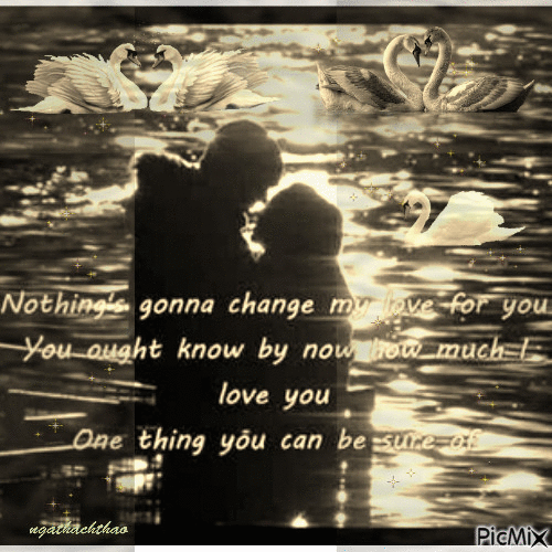 Nothing's Gonna Change My Love For You - GIF animé gratuit