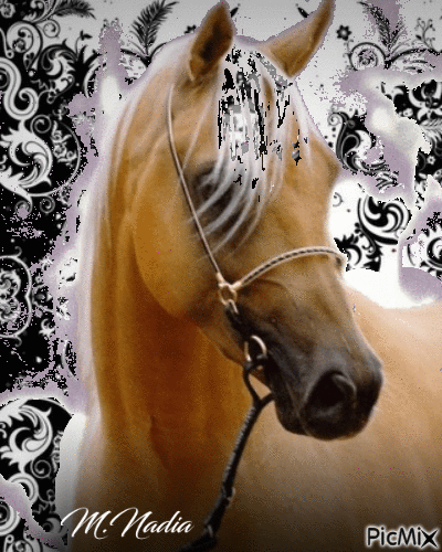 cheval  déco - Free animated GIF