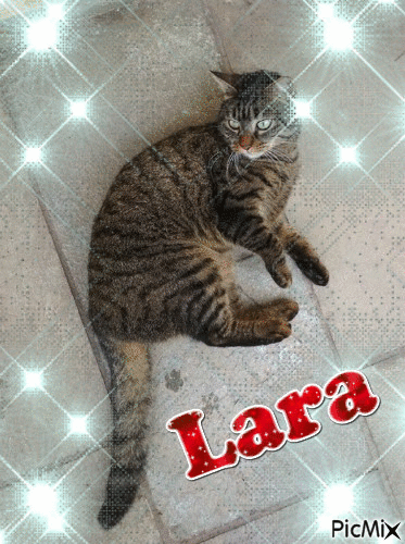 Lara 2020 - Zdarma animovaný GIF