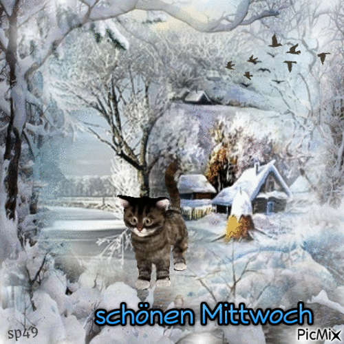 Mittwoch - Безплатен анимиран GIF