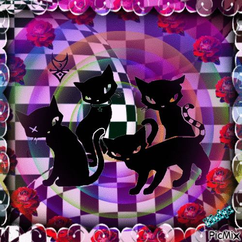 Strange black cats - Bezmaksas animēts GIF