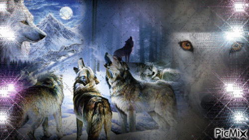 les loups - Безплатен анимиран GIF