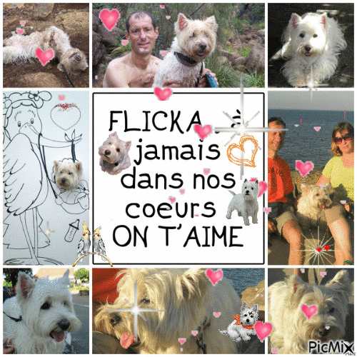 flicka - Δωρεάν κινούμενο GIF