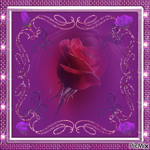 violette - Zdarma animovaný GIF
