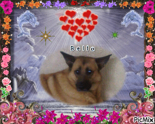Bella - Ingyenes animált GIF