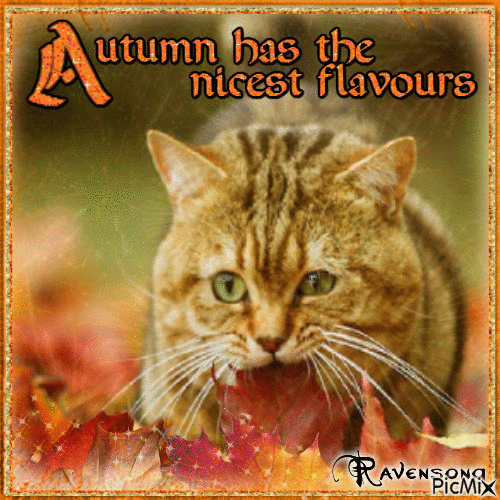 Autumn has the nicest flavours - Gratis animeret GIF
