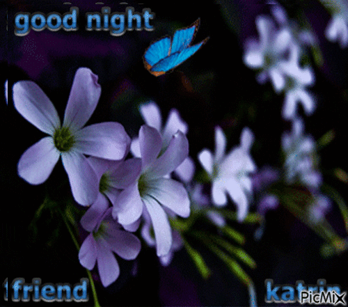 Good night my friend - GIF animasi gratis
