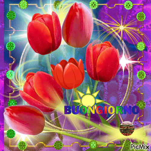 Buongiorno con tulipani rossi - GIF animate gratis