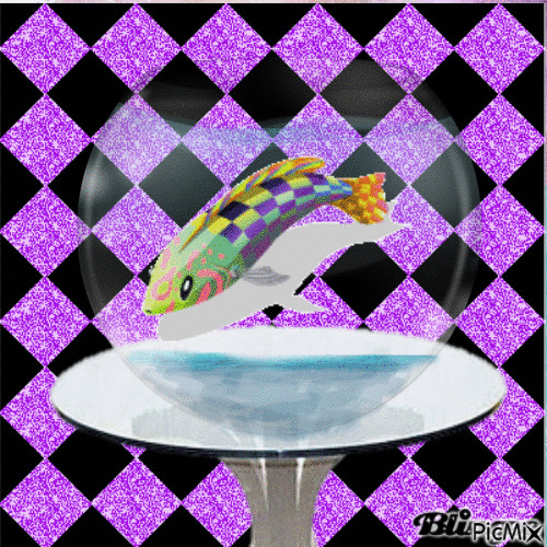 Checkerboard Wrasse - Free animated GIF