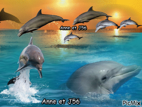 Anne et joel - GIF animado gratis