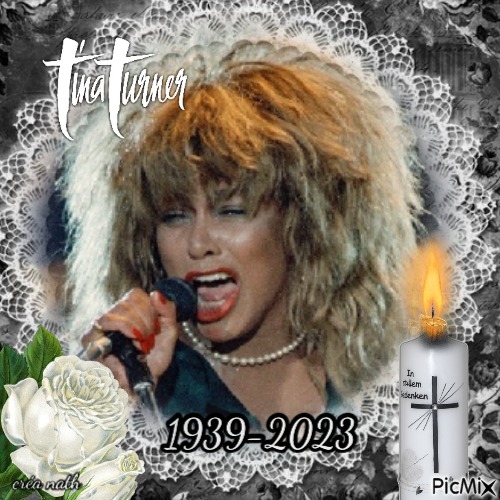 Tina Turner hommage - png grátis