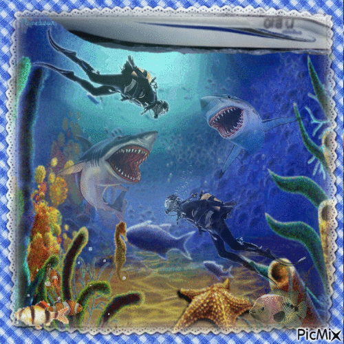 Requins. - Free animated GIF