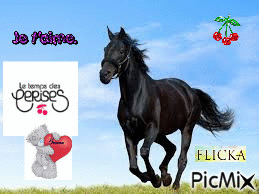 y love cheval - GIF animate gratis