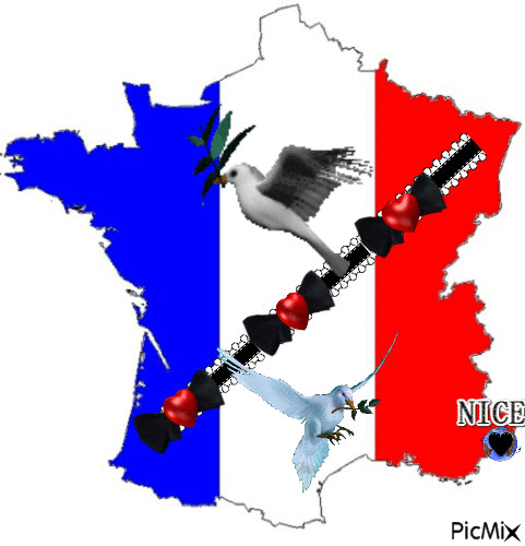 La France en deuil... - Nemokamas animacinis gif