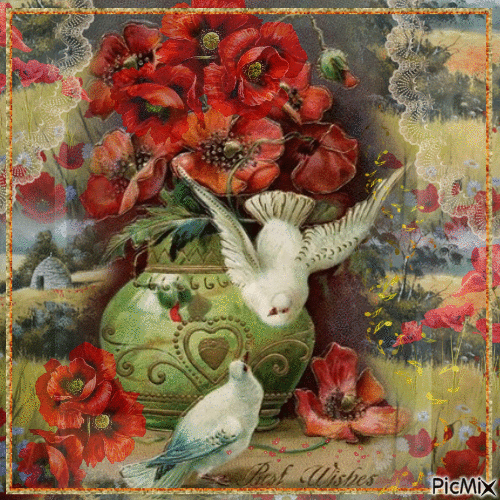 Poppies and birds - Best Wishes - GIF animado grátis